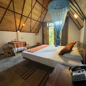 Steps Garden *** Negombo